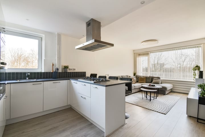 Foto 1 van Langswater 172