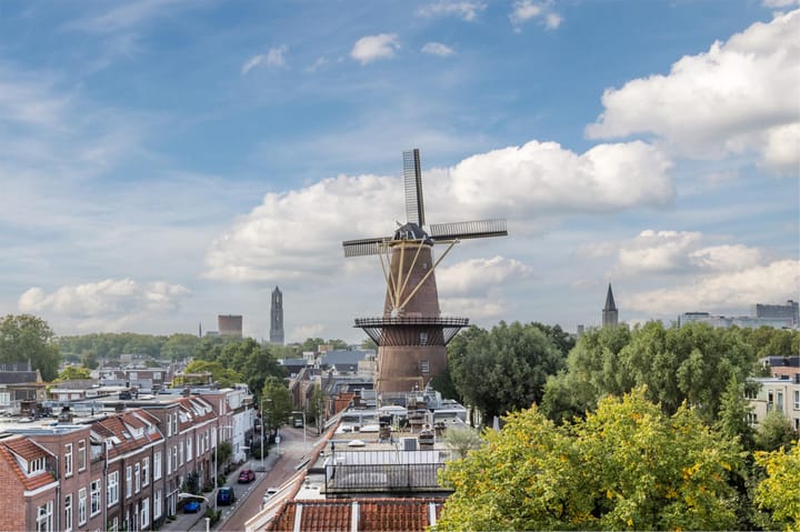 Foto 43 van Merelstraat 34