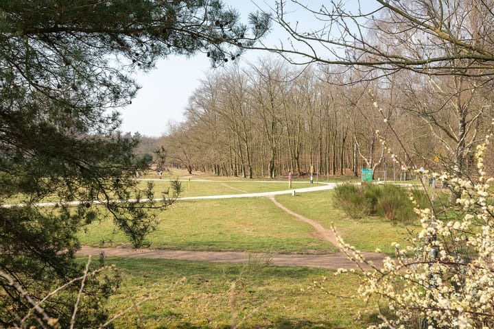 Foto 30 van Van Wassenaerlaan 33