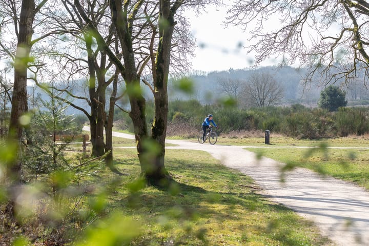 Foto 31 van Van Wassenaerlaan 33