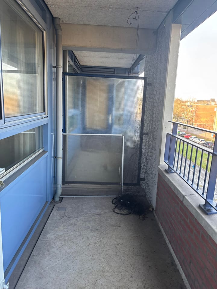 Foto 12 van Vondelweg 97-B