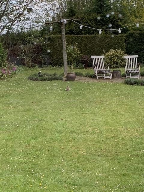 Photo 68 of Pastoor Kikkenweg 20