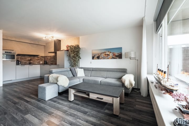 Foto 8 van Aalscholver 11