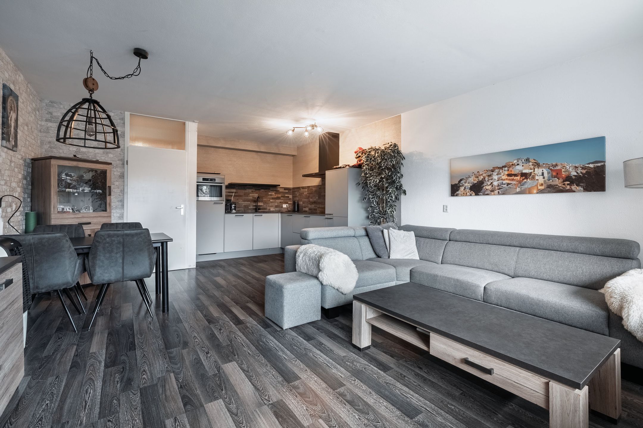 Foto 9 van Aalscholver 11