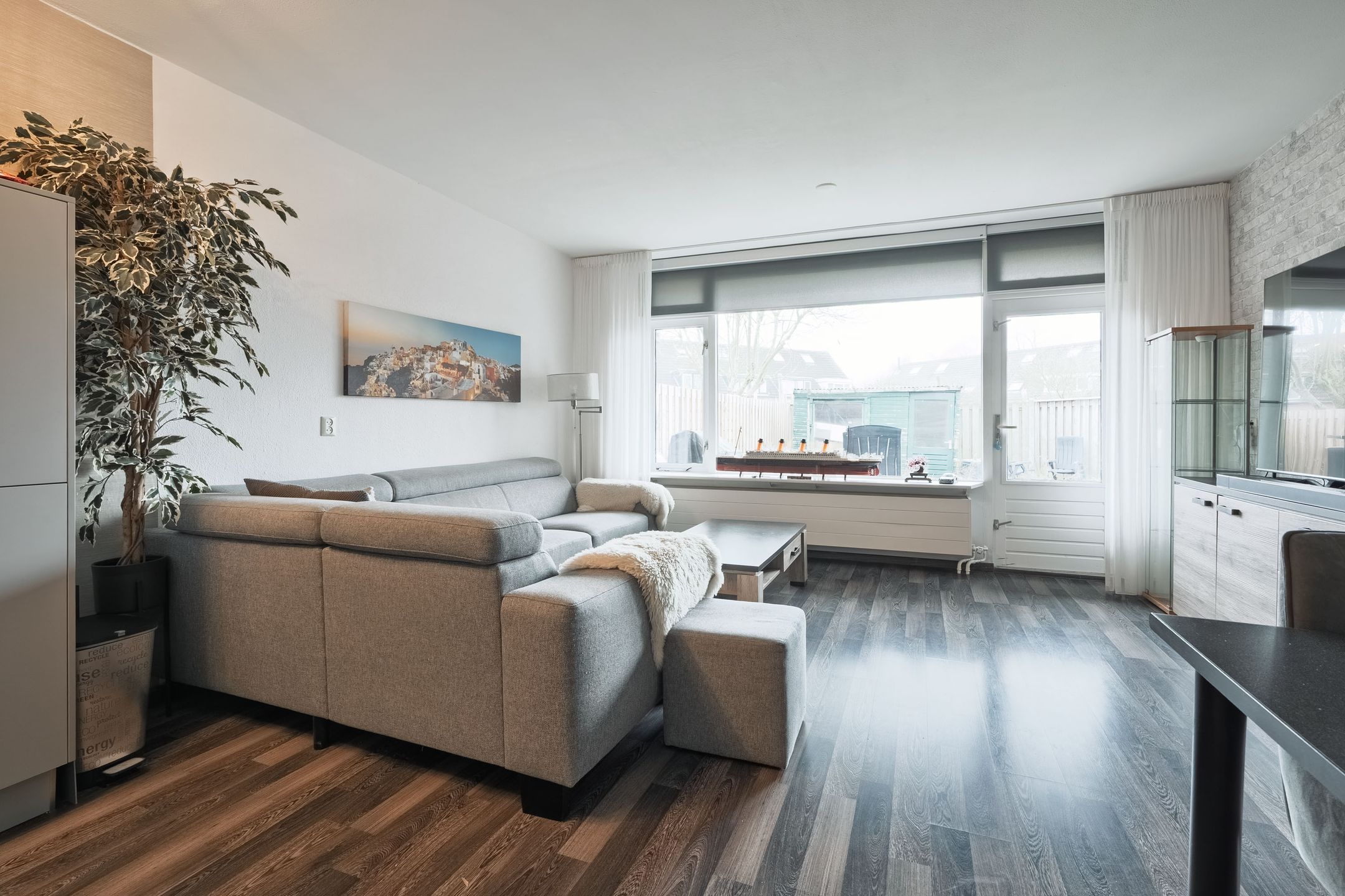 Foto 6 van Aalscholver 11