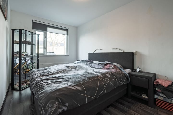 Foto 14 van Aalscholver 11