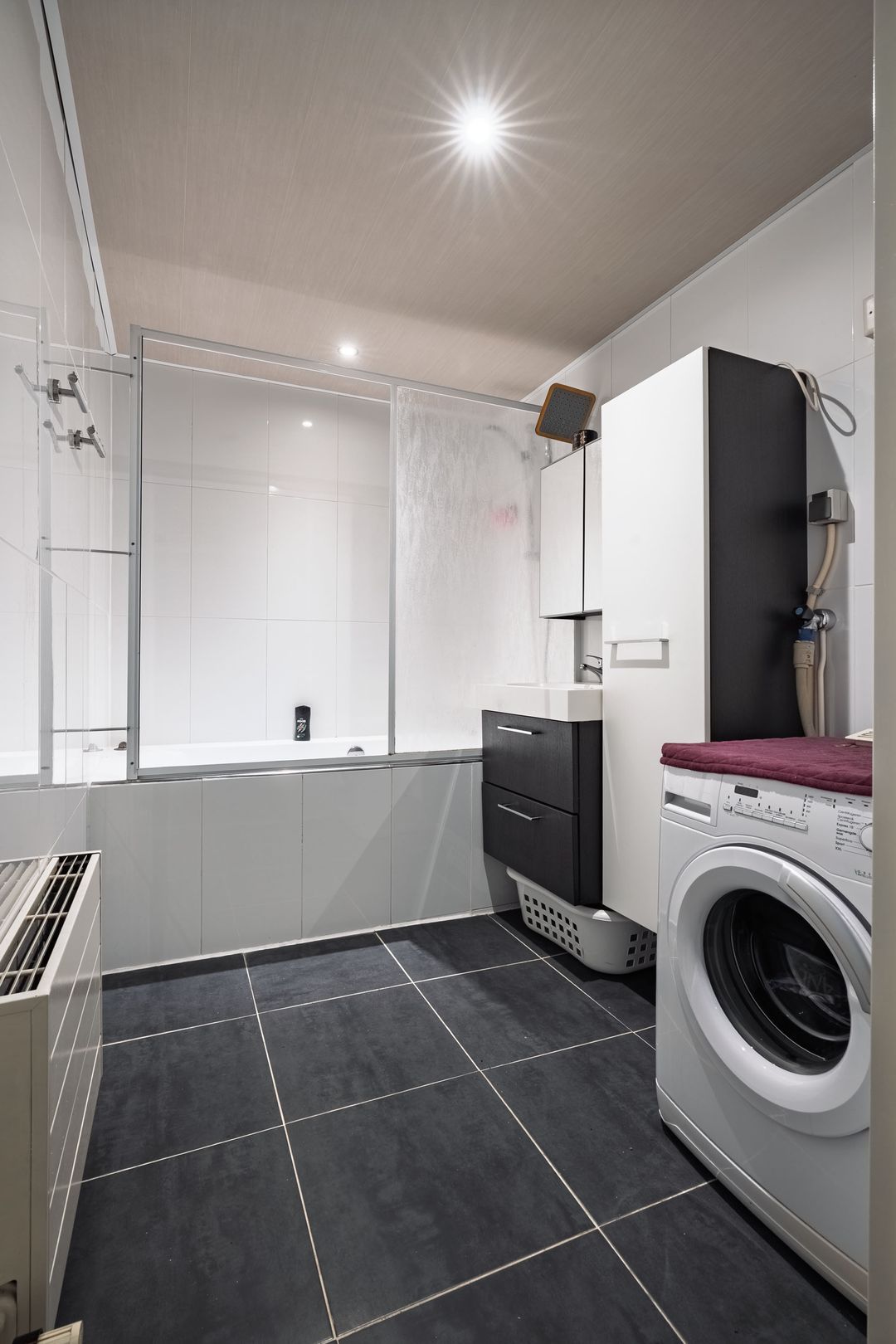 Foto 16 van Aalscholver 11