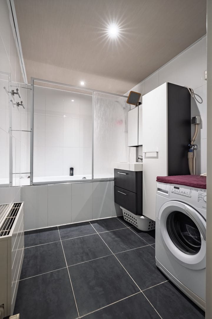 Foto 16 van Aalscholver 11