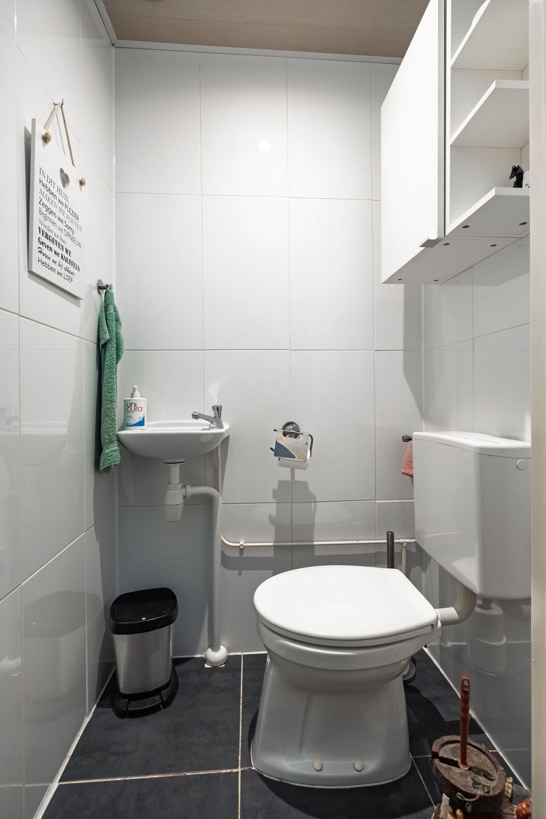 Foto 17 van Aalscholver 11