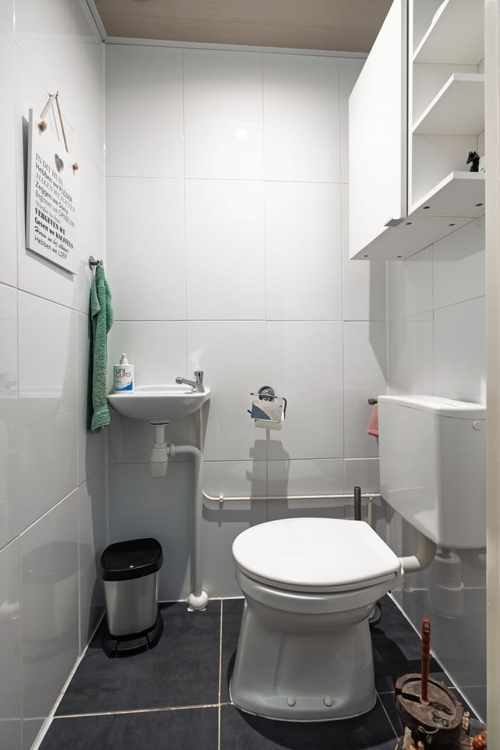 Foto 17 van Aalscholver 11