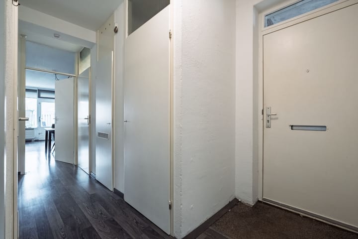 Foto 18 van Aalscholver 11