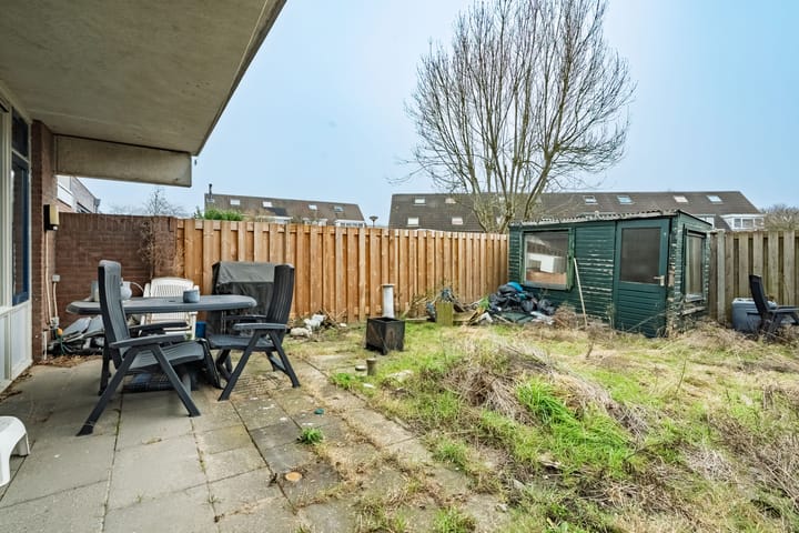 Foto 19 van Aalscholver 11