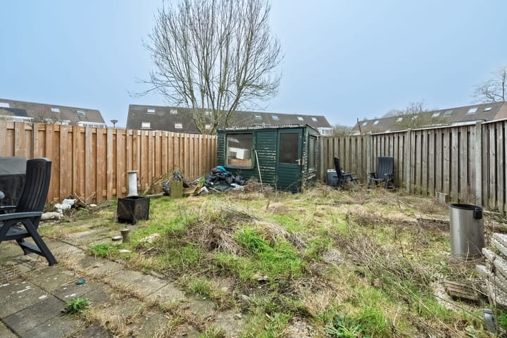 Foto 20 van Aalscholver 11