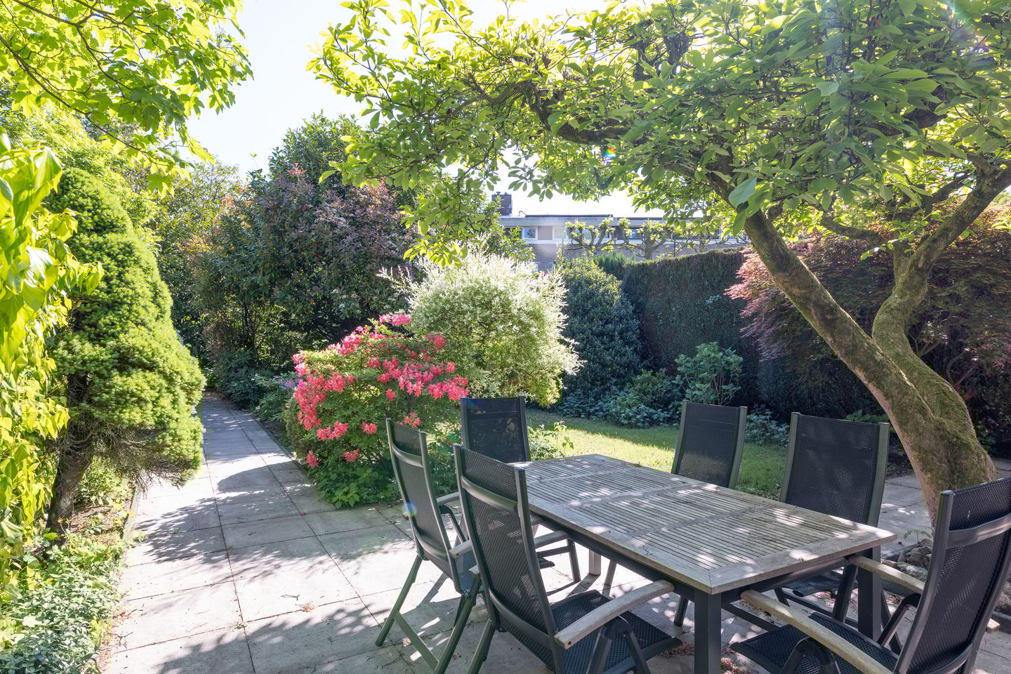 Foto 5 van Dr. Zamenhoflaan 218