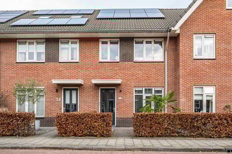 Boekweitveld thumbnail