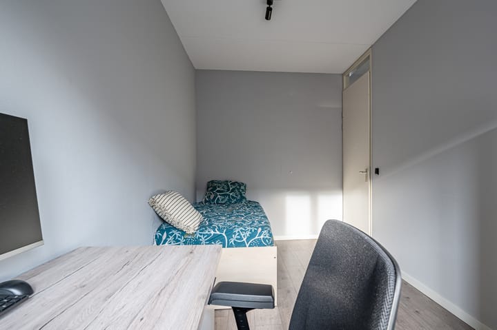 Foto 17 van Boekweitveld 16