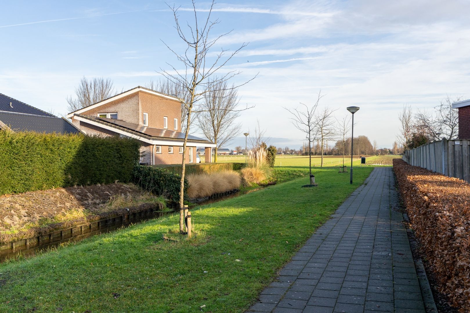 Foto 3 van Rijshaak 15