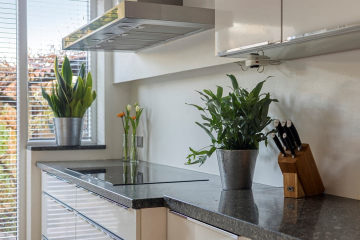 Foto 22 van Nijenstein 23