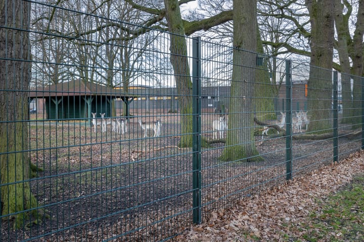 Foto 26 van Sweelincklaan 33