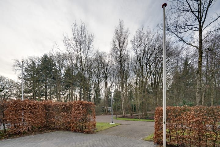 Foto 45 van Houtlaan 97