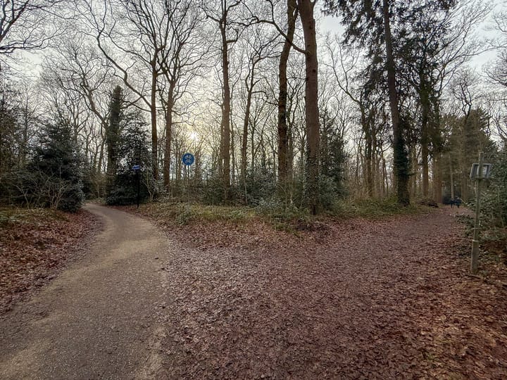 Foto 46 van Houtlaan 97