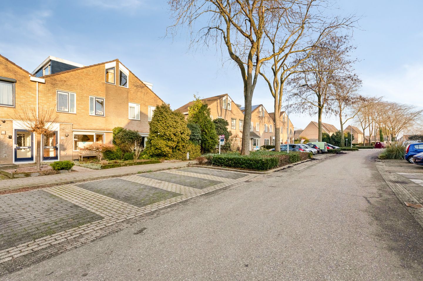 Photo 5 of Golden Delicious 95