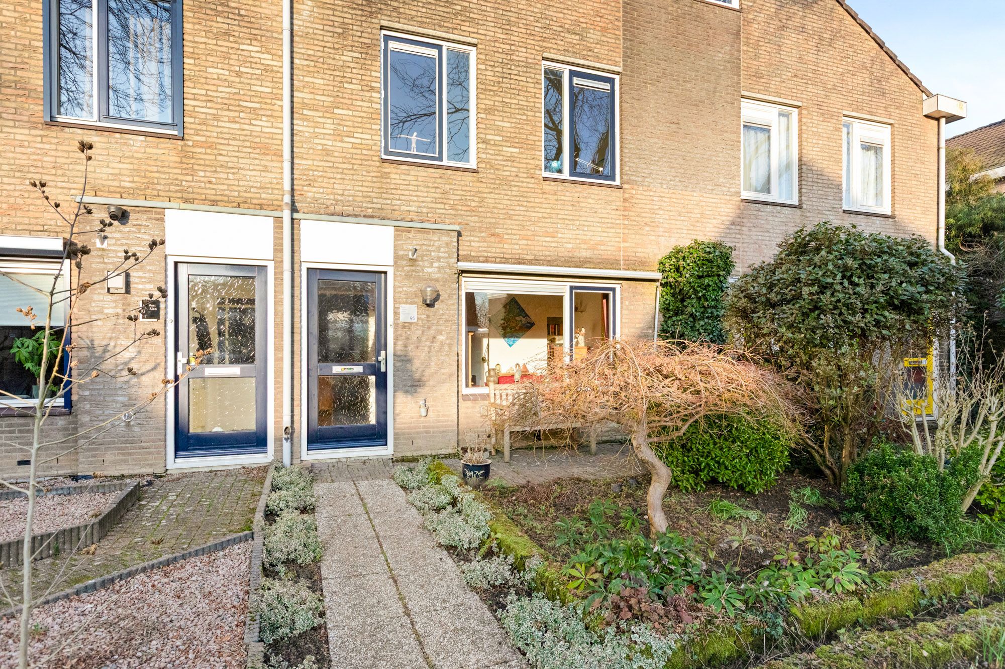 Photo 6 of Golden Delicious 95