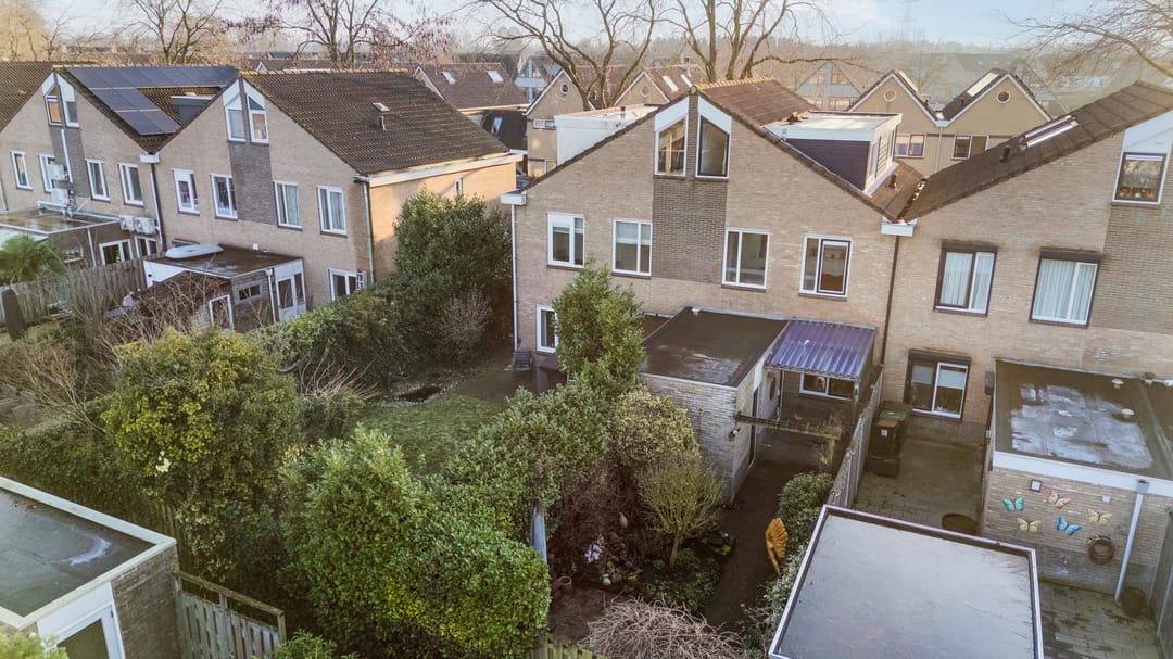 Photo 37 of Golden Delicious 95