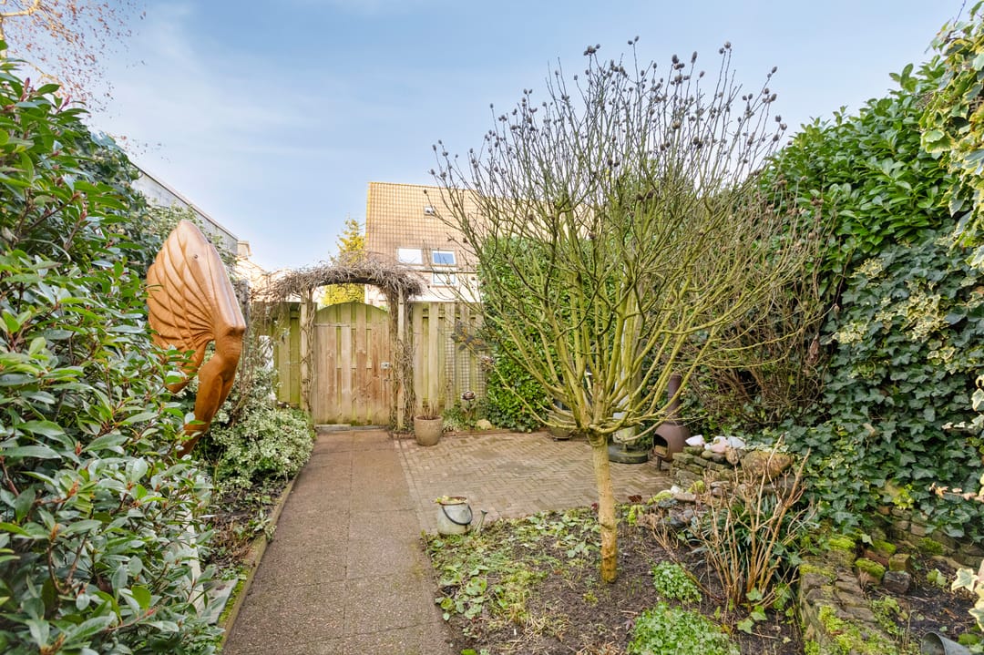 Photo 38 of Golden Delicious 95