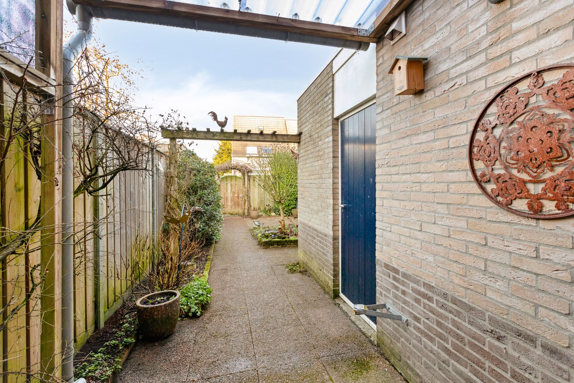 Photo 39 of Golden Delicious 95