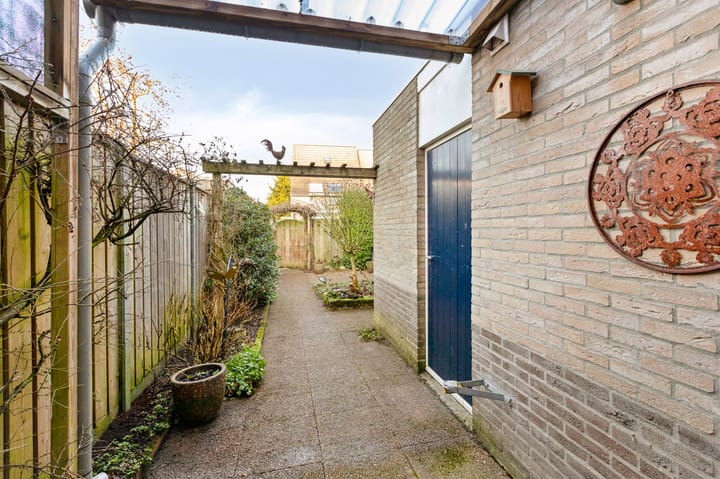 Foto 39 van Golden Delicious 95