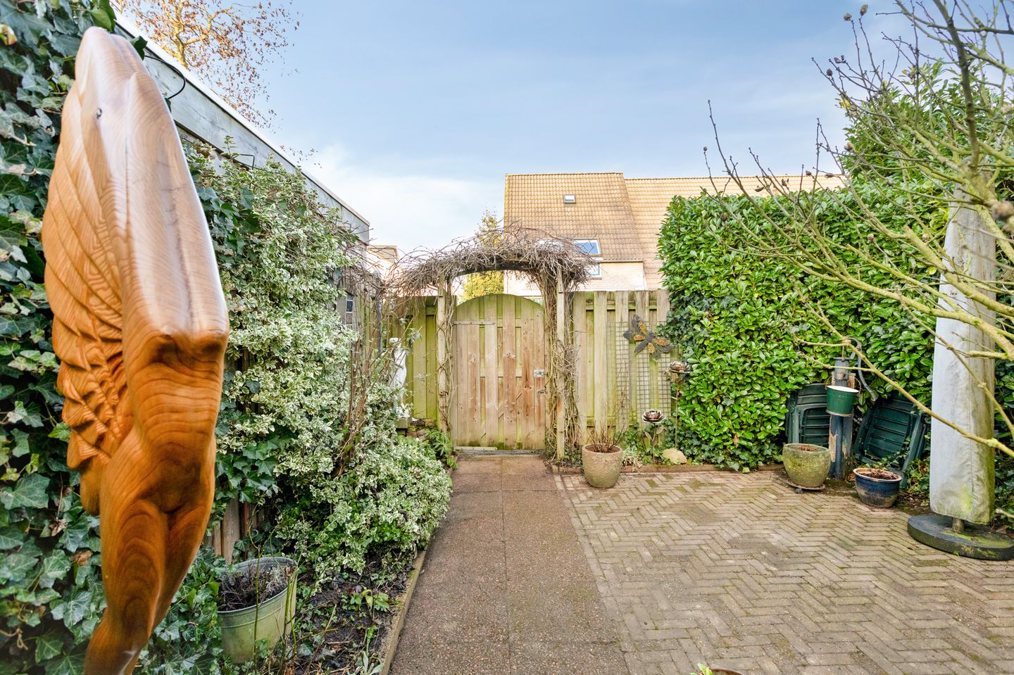 Photo 40 of Golden Delicious 95