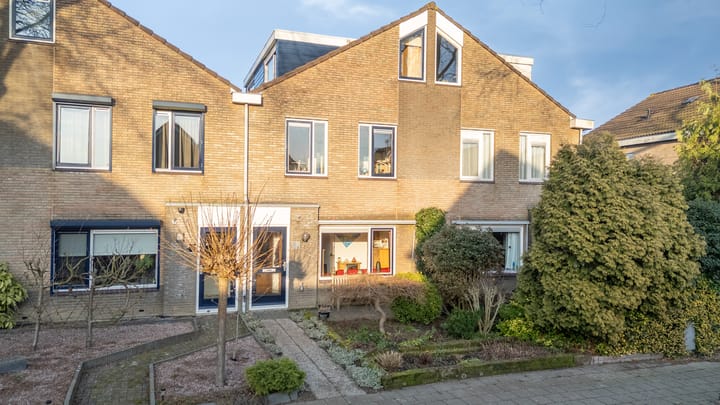 Foto 43 van Golden Delicious 95