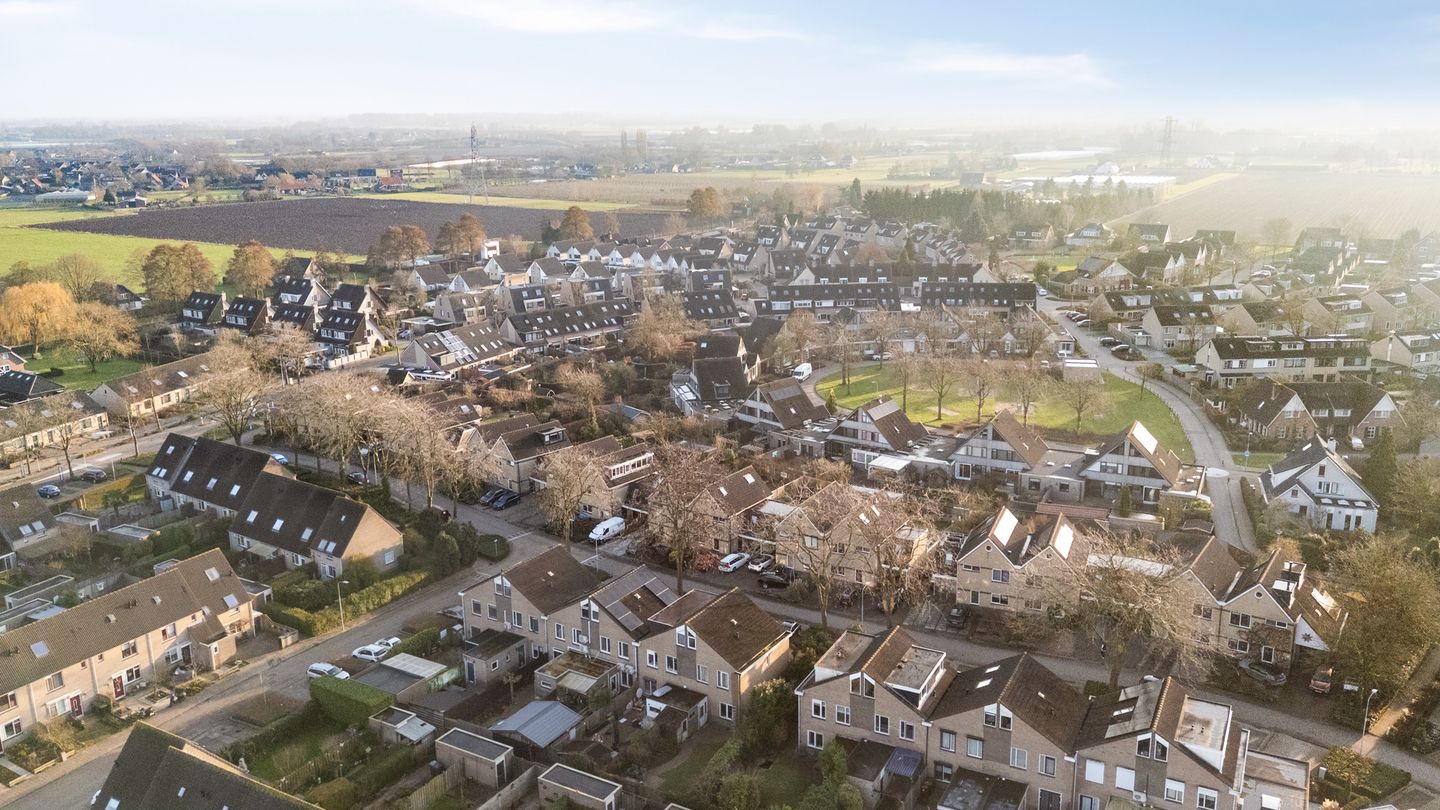 Photo 44 of Golden Delicious 95