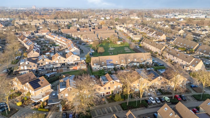 Foto 45 van Golden Delicious 95