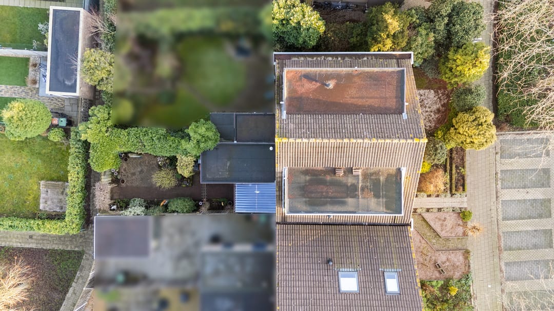 Photo 46 of Golden Delicious 95