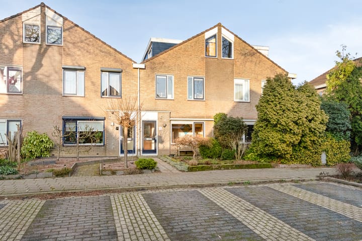 Foto 47 van Golden Delicious 95