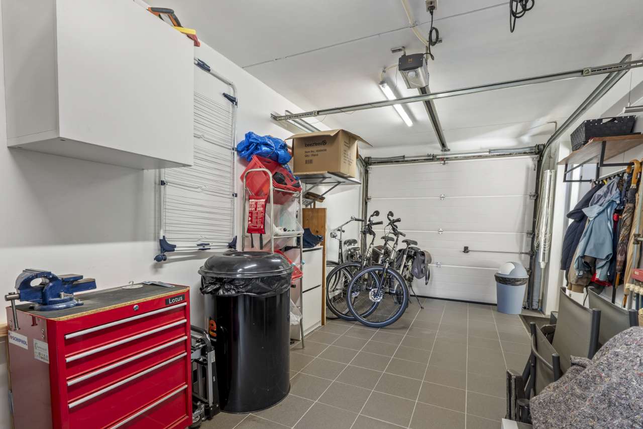 Foto 35 van Papegroet 6