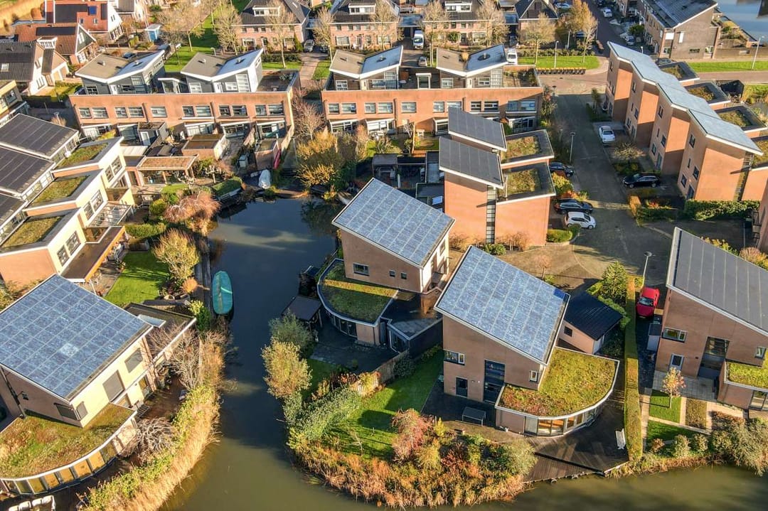 Foto 43 van Papegroet 6