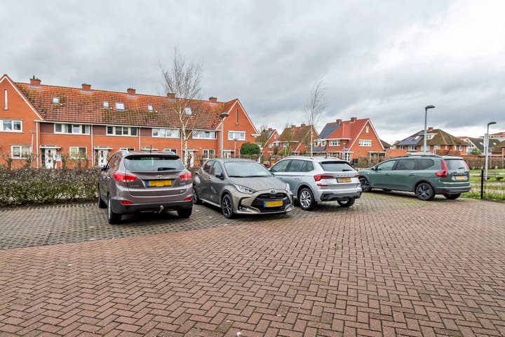 Photo 9 of Aardbeivlinder 68-23