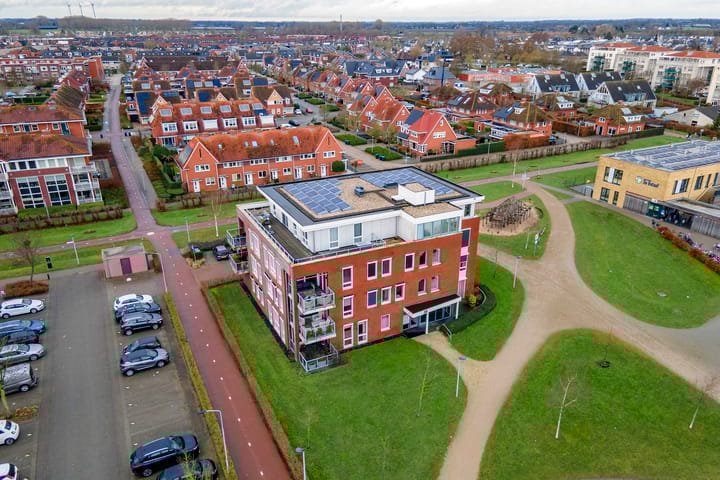 Photo 47 of Aardbeivlinder 68-23