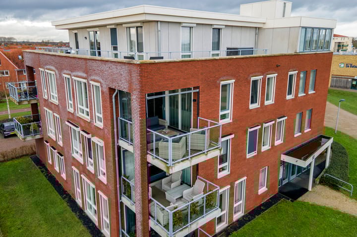 Photo 50 of Aardbeivlinder 68-23