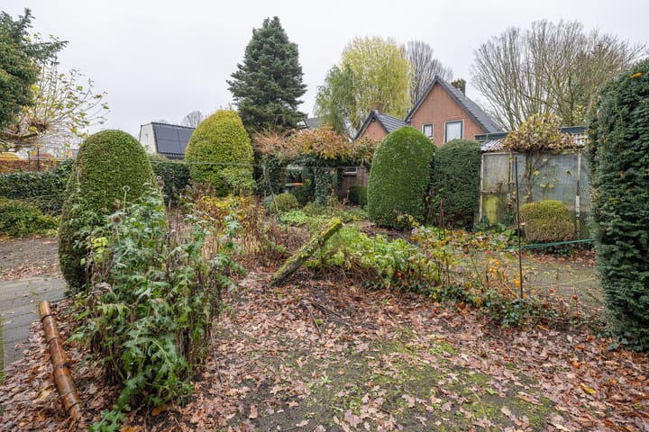 Foto 41 van Graaf van Lyndenlaan 3