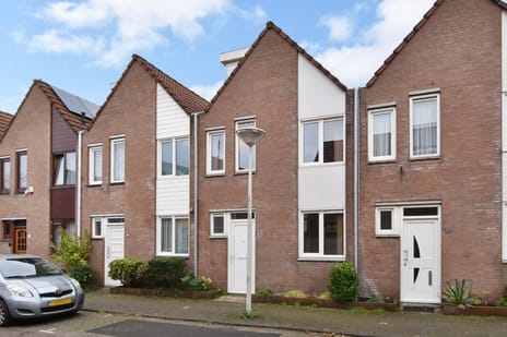 undefined main image