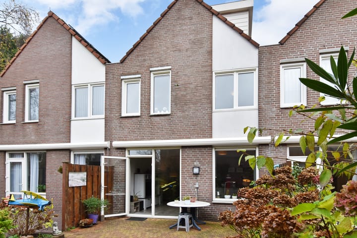 Foto 13 van Eric Satieplantsoen 14