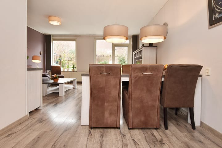 Foto 16 van Eric Satieplantsoen 14