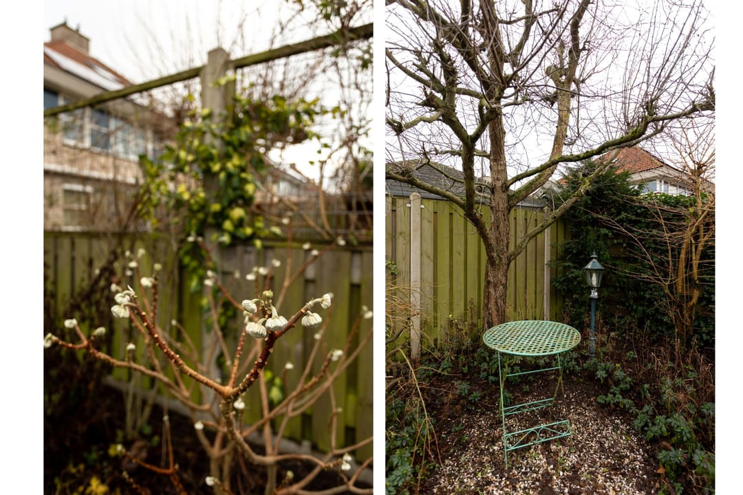 Photo 41 of Willem Alexandersingel 12