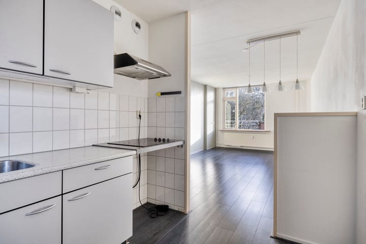 Foto 13 van Paukenlaan 43