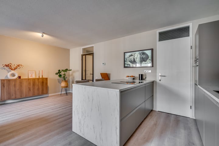 Foto 33 van Deken van Oppensingel 113