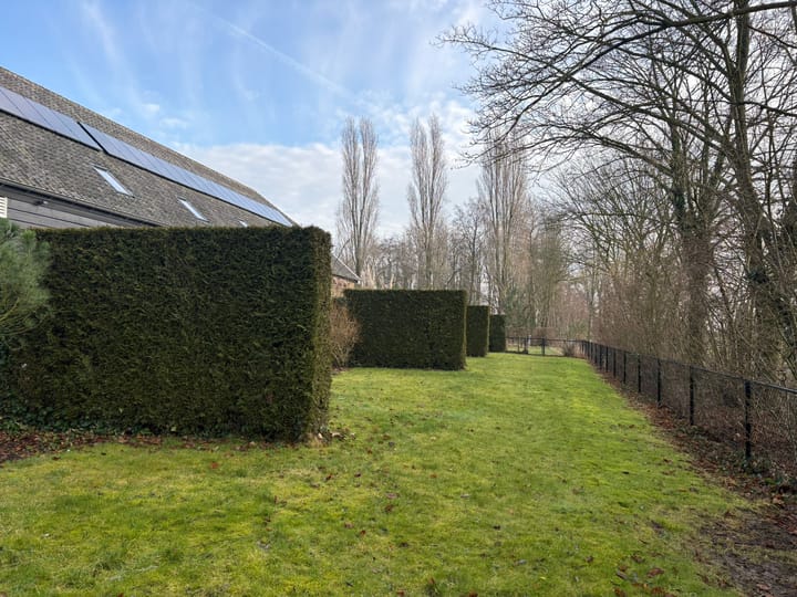 Foto 23 van Zuiddijk 2-A